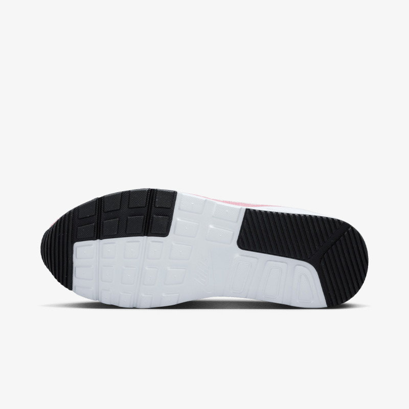 Nike Pantofi Sport WMNS NIKE AIR MAX SC VDAY 