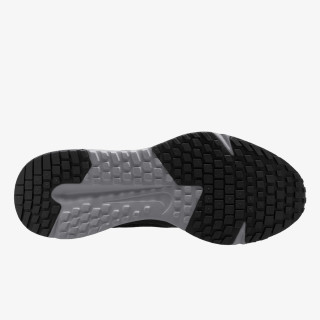 Nike Pantofi Sport NIKE RUN DEFY 