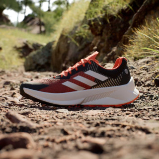 adidas Pantofi Sport TERREX SOULSTRIDE FLOW TRAIL RUNNING 