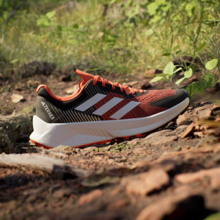 adidas Pantofi Sport TERREX SOULSTRIDE FLOW TRAIL RUNNING 