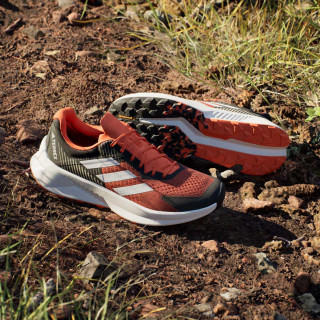 adidas Pantofi Sport TERREX SOULSTRIDE FLOW 