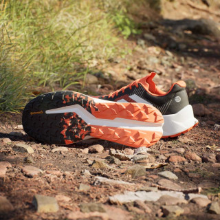 adidas Pantofi Sport TERREX SOULSTRIDE FLOW 