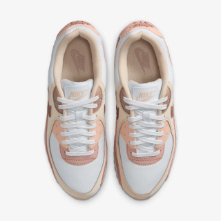 Nike Pantofi Sport WMNS AIR MAX 90 NN PRM 