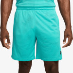 Nike Pantaloni scurti Sportswear 