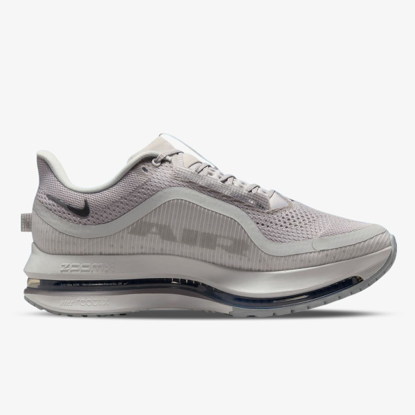 Nike Pantofi Sport NIKE PEGASUS PREMIUM 