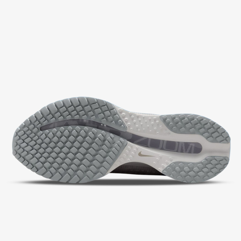 Nike Pantofi Sport NIKE PEGASUS PREMIUM 