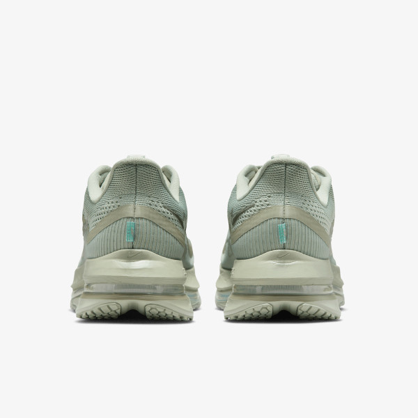 Nike Pantofi Sport NIKE PEGASUS PREMIUM 