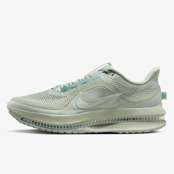 Nike Pantofi Sport NIKE PEGASUS PREMIUM 