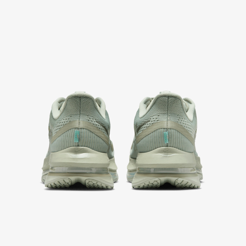 Nike Pantofi Sport NIKE PEGASUS PREMIUM 