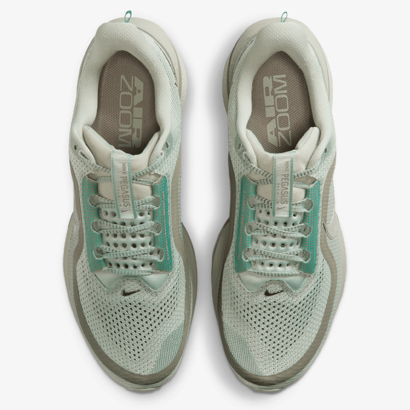 Nike Pantofi Sport NIKE PEGASUS PREMIUM 