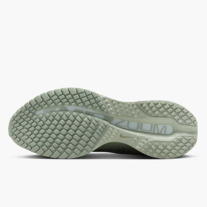 Nike Pantofi Sport NIKE PEGASUS PREMIUM 