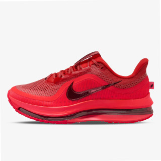 Nike Pantofi Sport NIKE PEGASUS PREMIUM 