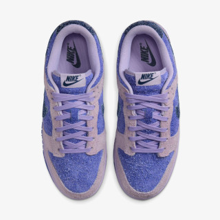 Nike Pantofi Sport W NIKE DUNK LOW SE S 