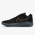 Nike Pantofi Sport LEBRON WITNESS IX 