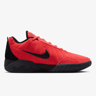 Nike Pantofi Sport LEBRON WITNESS IX 
