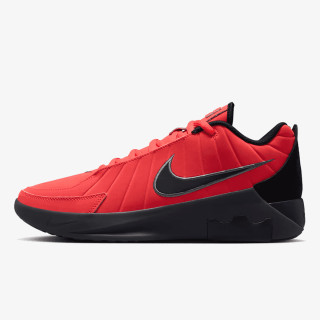 Nike Pantofi Sport LEBRON WITNESS IX 