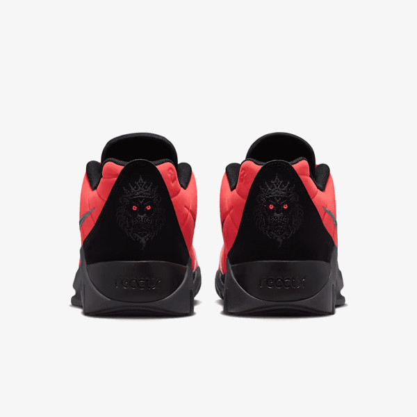 Nike Pantofi Sport LEBRON WITNESS IX 