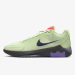 Nike Pantofi Sport LEBRON WITNESS IX 