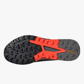 adidas Pantofi Sport TERREX AGRAVIC FLOW 2 GTX 