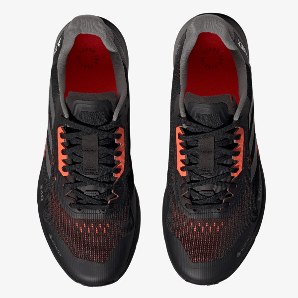 adidas Pantofi Sport TERREX AGRAVIC FLOW 2 GTX 
