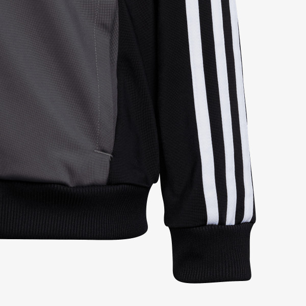 adidas Trening Tiberio 