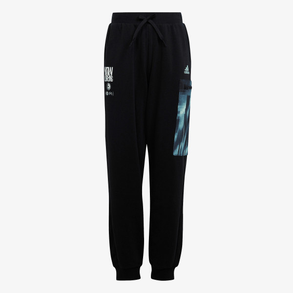 adidas Pantaloni de trening ARKD3 