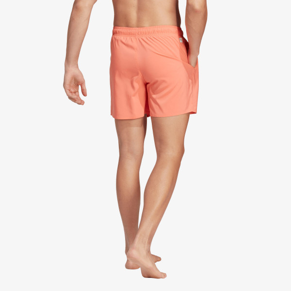 adidas Pantaloni scurti PERFORMANCE SHORT 