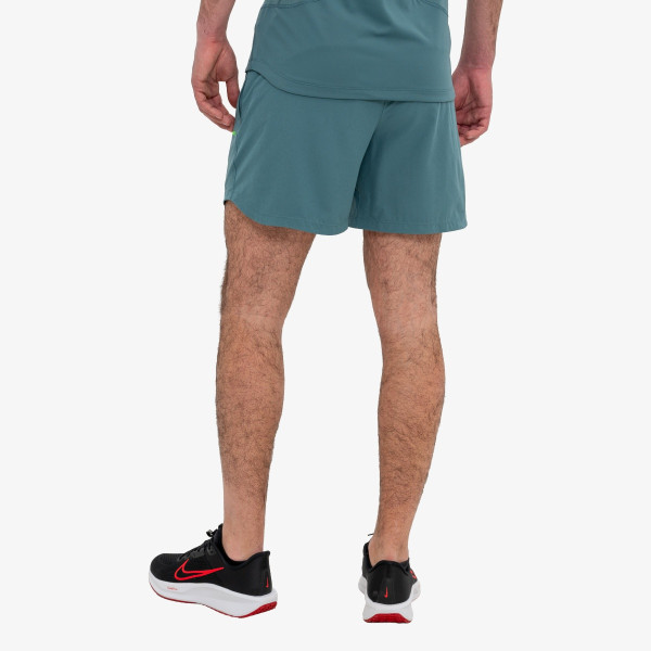 Nike Pantaloni scurti Pro Training 