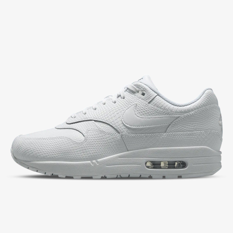 Nike Pantofi Sport NIKE AIR MAX 1 PREM EB 