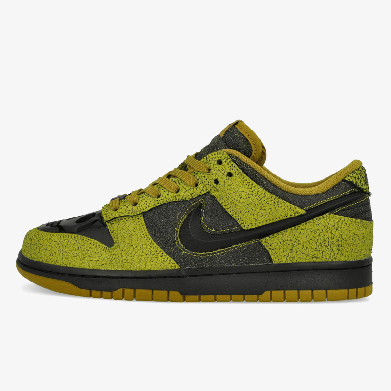 Nike Pantofi Sport NIKE DUNK LOW RETRO QS 