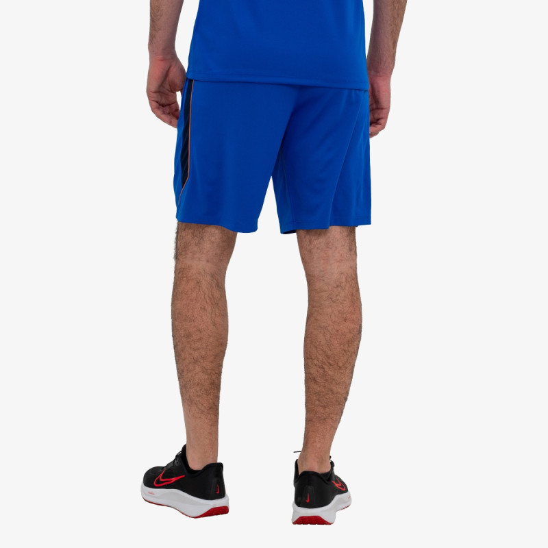 Nike Pantaloni scurti FFF Strike 