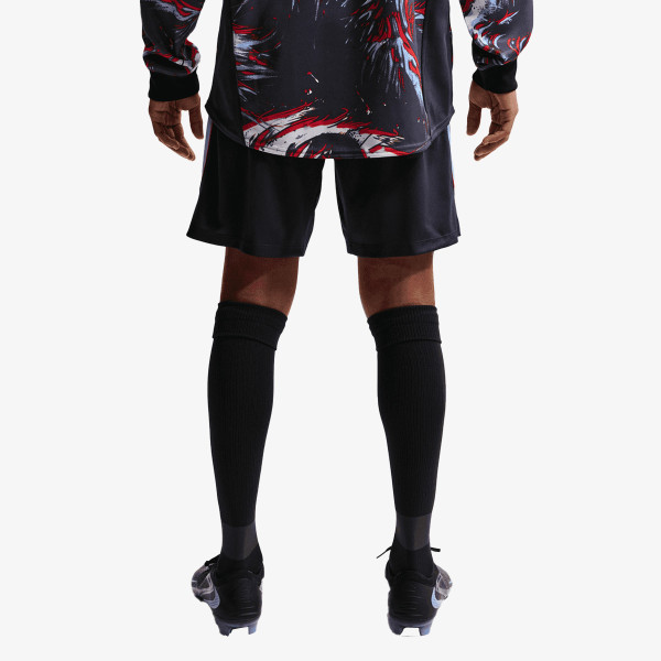 Nike Pantaloni scurti ENT Strike 