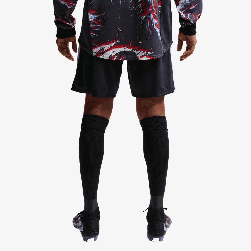 Nike Pantaloni scurti ENT Strike 