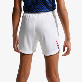 Nike Pantaloni scurti FFF 