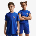 Nike Tricou FFF Strike 