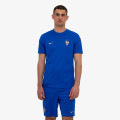 Nike Tricou FFF Strike 