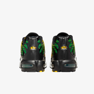 Nike Pantofi Sport NIKE AIR MAX PLUS FB 