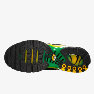 Nike Pantofi Sport NIKE AIR MAX PLUS FB 