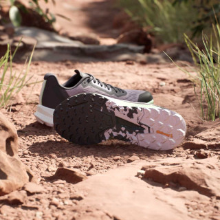 adidas Pantofi Sport TERREX AGRAVIC FLOW 2 W 