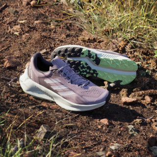 adidas Pantofi Sport TERREX SOULSTRIDE FLOW W 