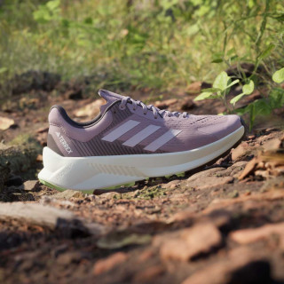 adidas Pantofi Sport TERREX SOULSTRIDE FLOW W 