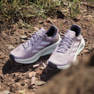 adidas Pantofi Sport TERREX SOULSTRIDE FLOW W 