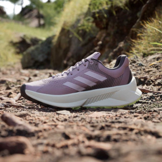 adidas Pantofi Sport TERREX SOULSTRIDE FLOW W 