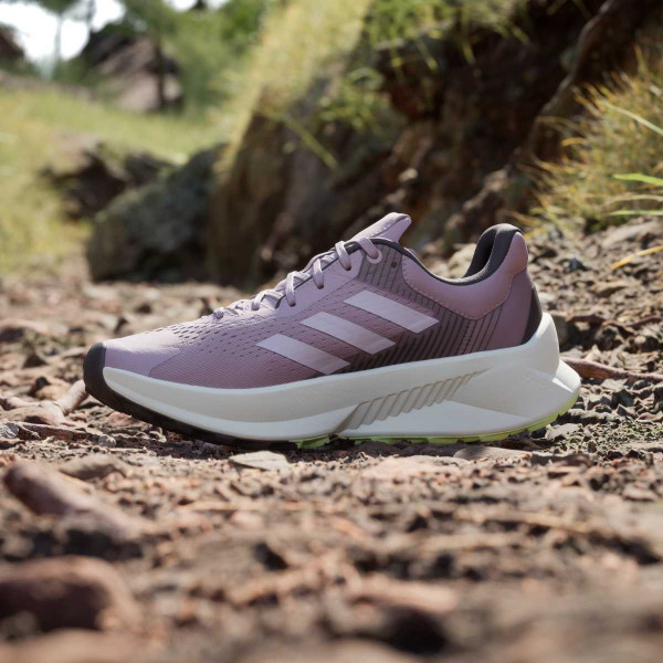 adidas Pantofi Sport TERREX SOULSTRIDE FLOW W 