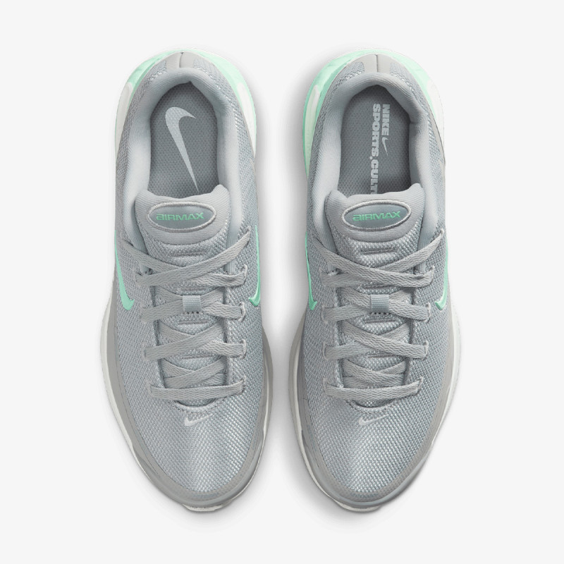 Nike Pantofi Sport W AIR MAX BIA 