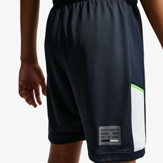 Nike Pantaloni scurti Academy 25 