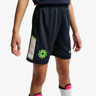 Nike Pantaloni scurti Academy 25 