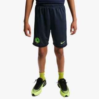 Nike Pantaloni scurti Academy 25 
