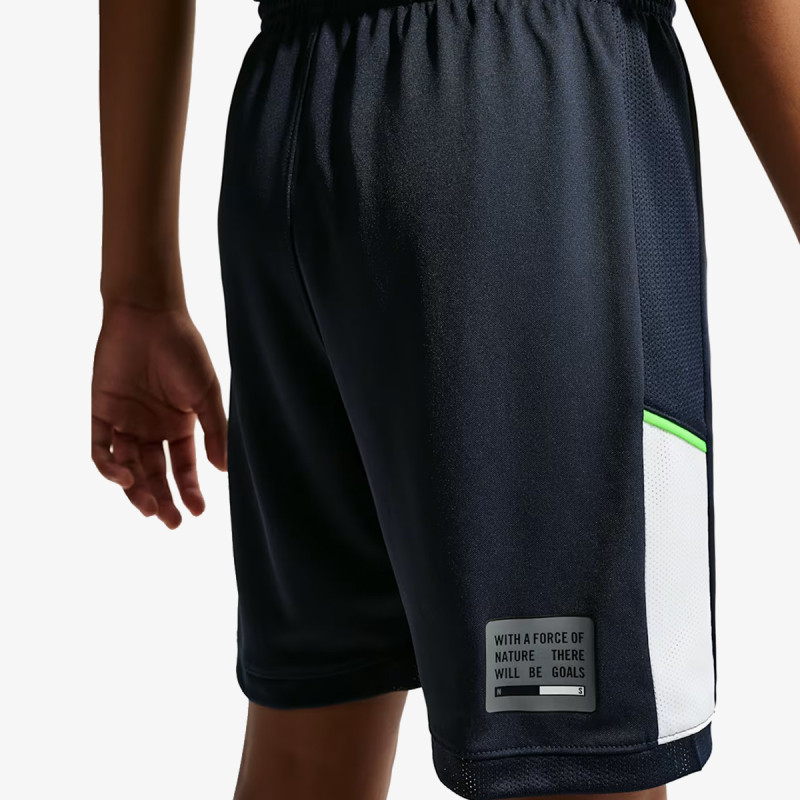 Nike Pantaloni scurti Academy 25 