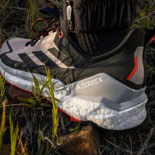 adidas Pantofi Sport TERREX FREE HIKER 2.0 